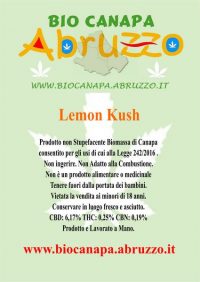 Lemon Kush Canapa Light