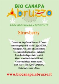 Strawberry Canapa Light