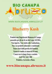Blue Berry Kush Etichetta